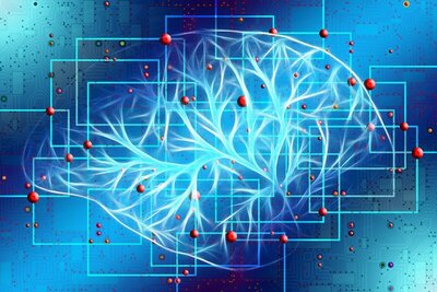 Brain and mind interrelationships.
