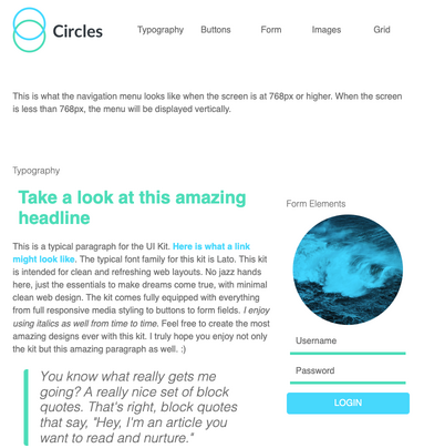 A web style guide.